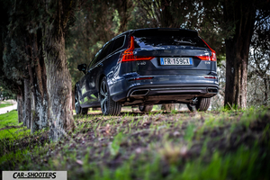 Volvo V60 – rear three-quarter, dark grey parked between tall trees