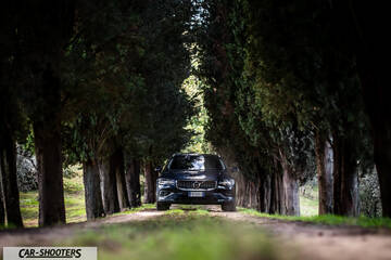 Volvo V60 – front three-quarter, dark blue framed by tall trees