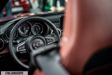 interior, leather steering wheel and seats