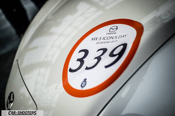 detail, rally decal on hood