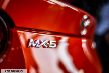 detail, badge close-up