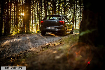 Volkswagen Polo GTI – rear three-quarter, dark grey on a forest road