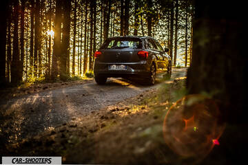 Volkswagen Polo GTI – rear view, grey metallic on a forest road
