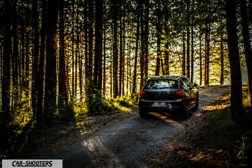 Volkswagen Polo GTI – rear view, dark grey on a forest road