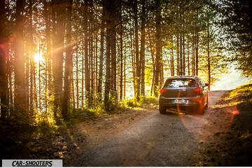 Volkswagen Polo GTI – rear view, grey on a forest road