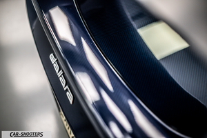 Dallara – detail, carbon fiber detail with badge