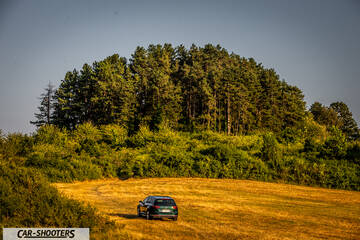 Volkswagen Passat Alltrack – rear view, dark green dark green in a field against a forest backdrop