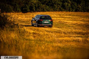 Volkswagen Passat Alltrack – rear three-quarter, green in a grassy field