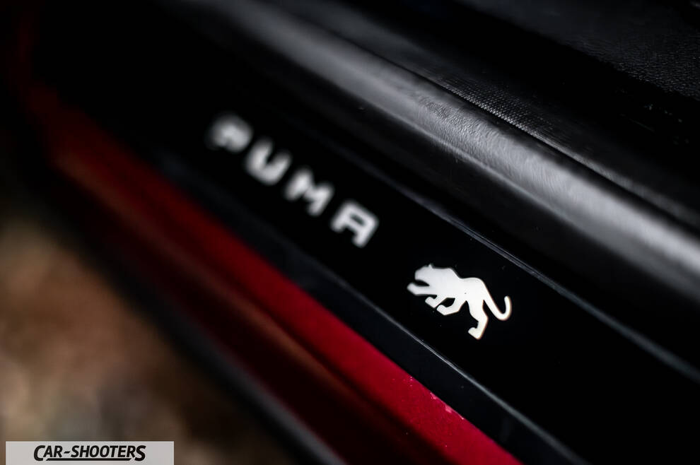 Ford Puma STLine – detail, illuminated door sill plate