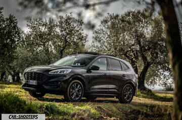 Ford Kuga STLine – front three-quarter, dark grey metallic among olive trees
