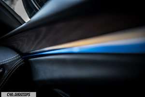 Renault Megane E TECH – interior, ambient lighting on door panel