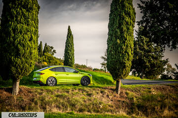 Skoda Enyaq – side profile, bright green parked near tall cypress trees