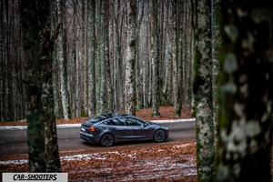 Tesla Model 3 2025 – rear three-quarter, dark grey on a road through a forest