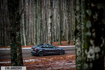 Tesla Model 3 2025 – rear three-quarter, dark grey on a road through a forest