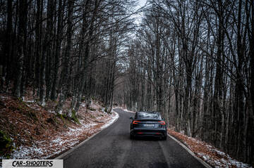 Tesla Model 3 2025 – rear view, dark grey on a winding forest road