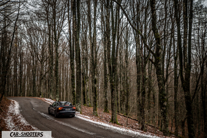 Tesla Model 3 2025 – rear three-quarter, dark grey on a curvy forest road