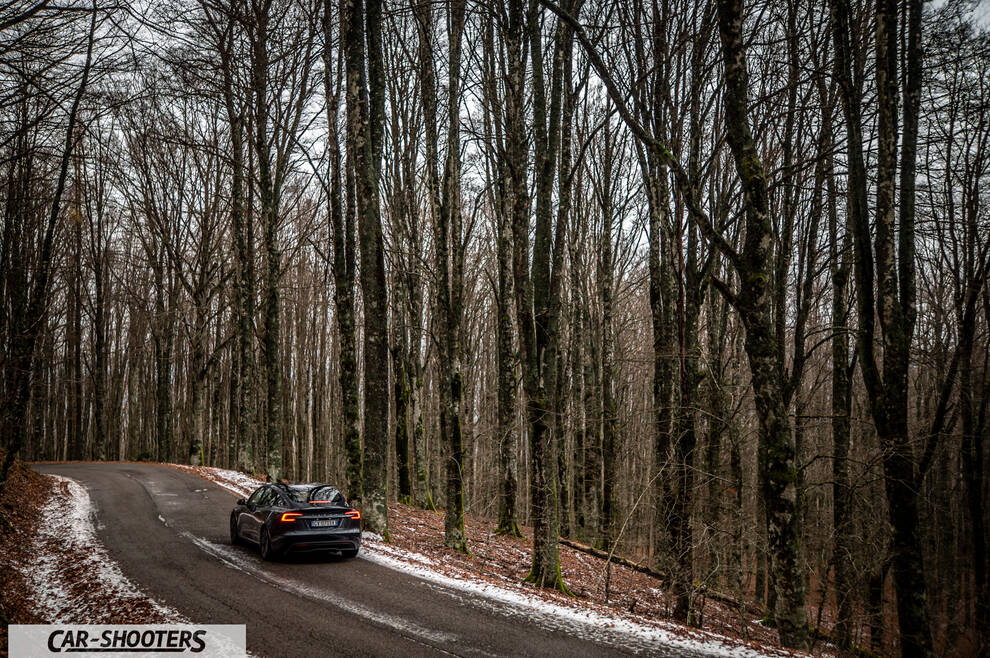 Tesla Model 3 2025 – rear three-quarter, dark grey on a curvy forest road
