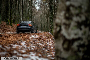 Tesla Model 3 2025 – rear view, dark grey on a road through a forest