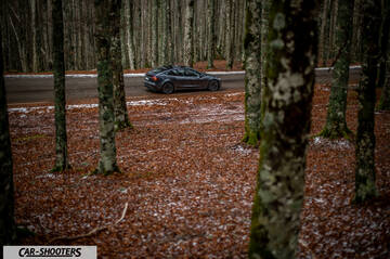 Tesla Model 3 2025 – side profile, dark grey on a forest road