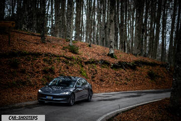 Tesla Model 3 2025 – front three-quarter, grey metallic on a forest road