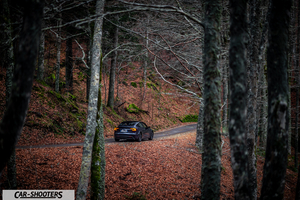 Tesla Model 3 2025 – rear three-quarter, dark grey on a winding forest road