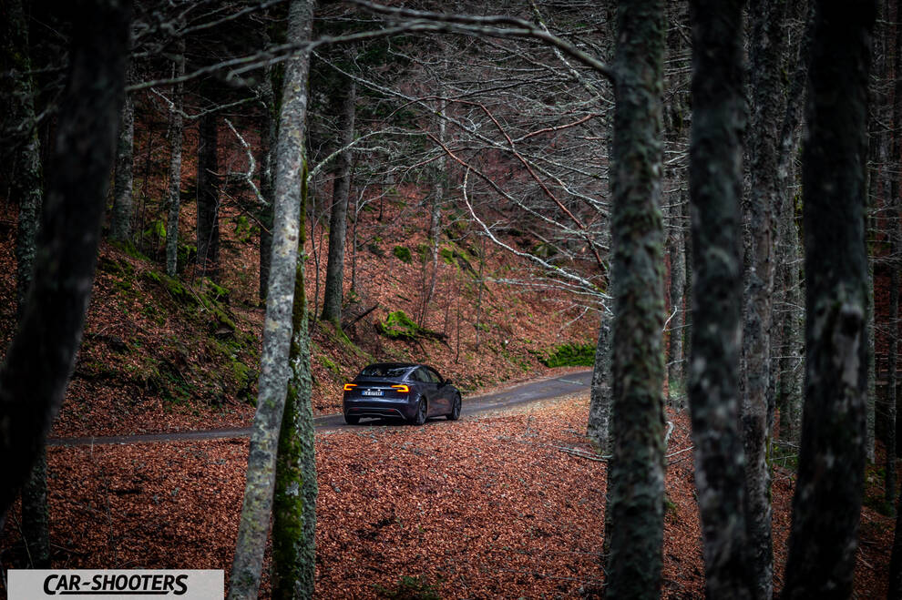 Tesla Model 3 2025 – rear three-quarter, dark grey on a winding forest road