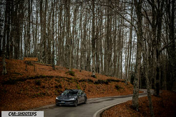 Tesla Model 3 2025 – front three-quarter, grey on a winding forest road