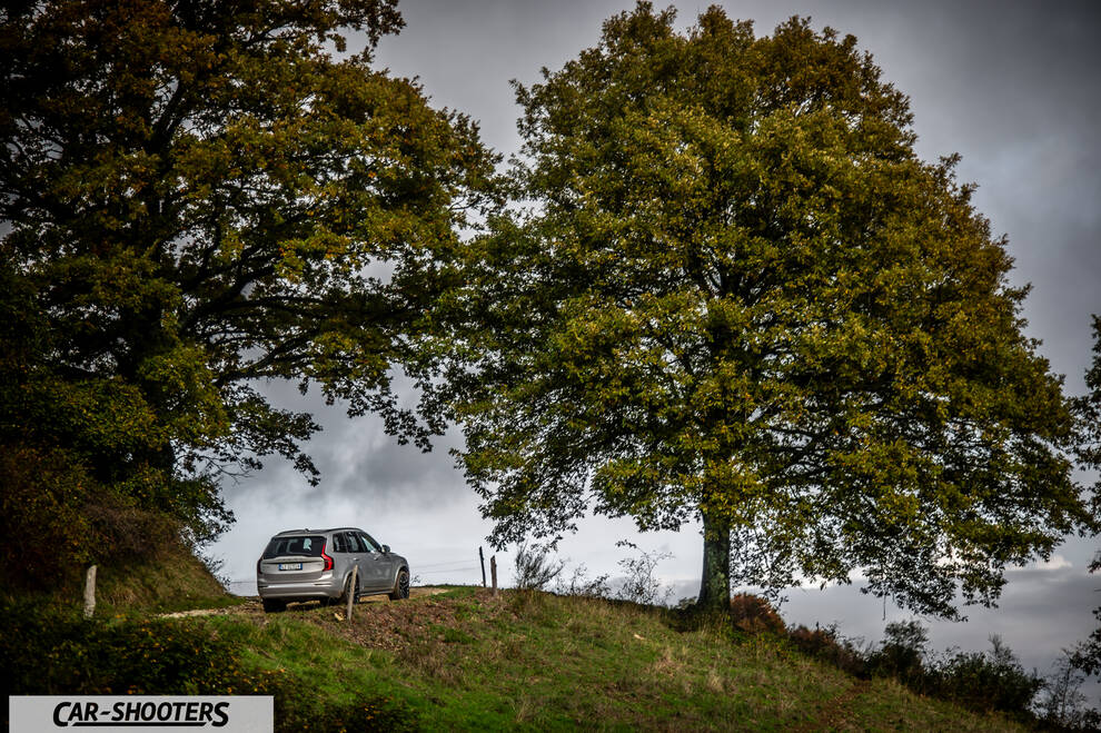 Volvo XC90 2025 – rear three-quarter, silver on a hilltop with large trees